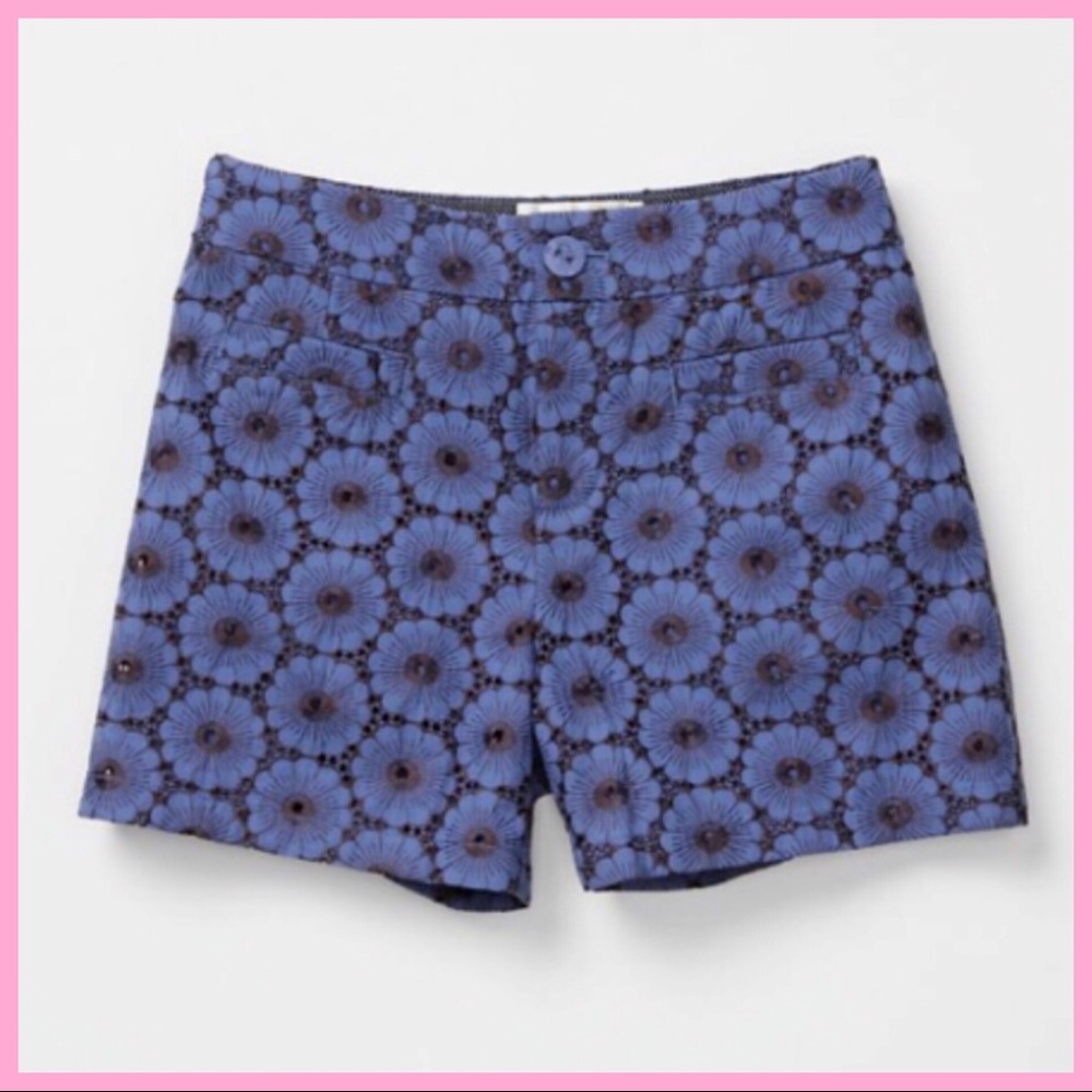 ANTHRO ELEVENSES | “Gerbera” Floral Lace Shorts